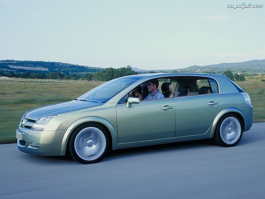Scheda tecnica rimappatura centralina Opel SIGNUM
